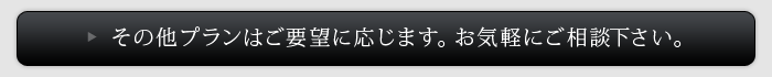 その他プランはご要望に応じます。お気軽にご相談下さい。