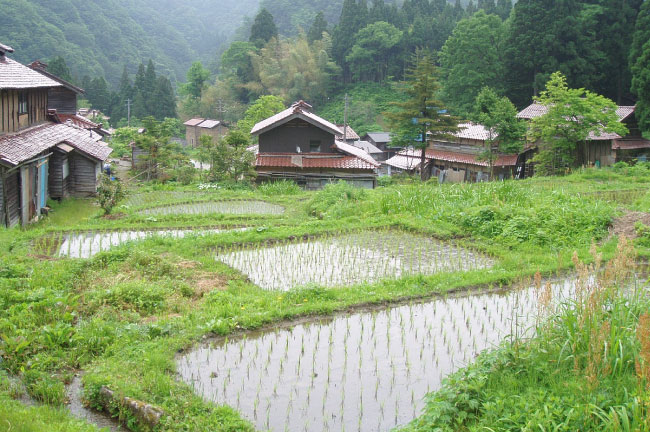 大土棚田・生水