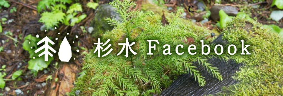 杉水すぎのみずFacebook