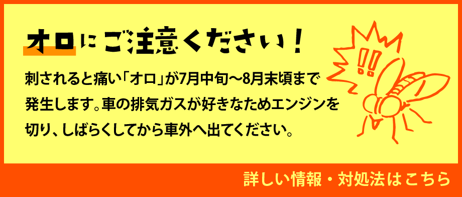 7月〜8月にかけては「オロ」にご注意ください