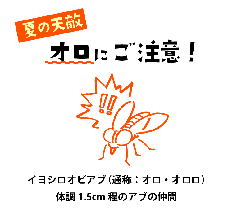 オロにご注意ください！